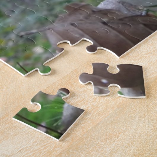 Puzzle paysager : Voler Amanitas dans Forrest (Côté)
