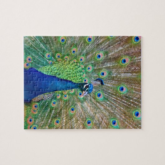 Puzzle Peacock (Horizontal)