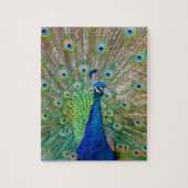 Puzzle Peacock (Vertical)