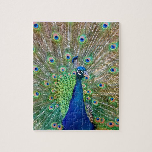 Puzzle Peacock (Vertical)