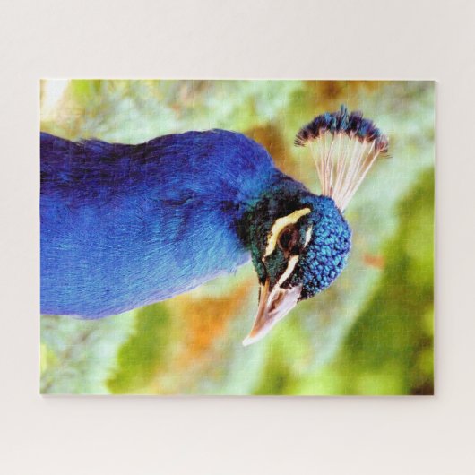 PUZZLE PEACOCK  (Horizontal)