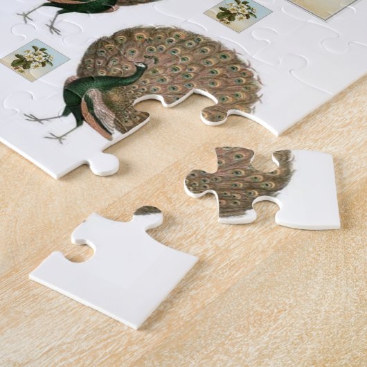 Puzzle Peacock (Côté)