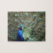 Puzzle Peacock (Horizontal)