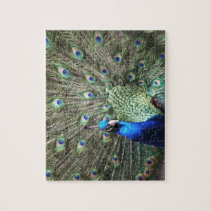 Puzzle Peacock