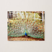 Puzzle Peacock (Horizontal)