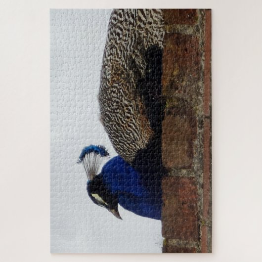 Puzzle Peacock (Vertical)
