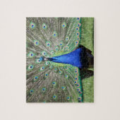 Puzzle Peacock (Vertical)