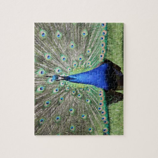Puzzle Peacock (Vertical)