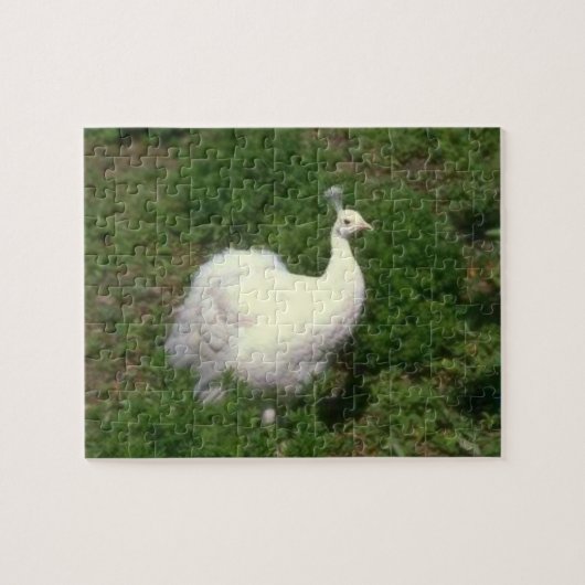 Puzzle Peacock blanc (Horizontal)