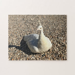 Puzzle Peacock Blanc, Idaho