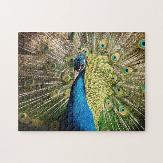 Puzzle Peacock Bleu brillant (Horizontal)