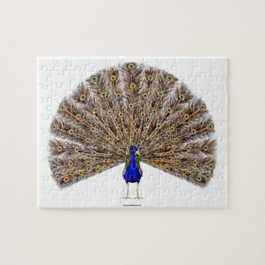 Puzzle Peacock Blue (Horizontal)