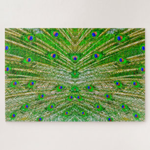 Puzzle Peacock Feathers