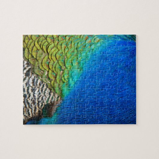 Puzzle Peacock Feathers IV Colorful Abstrait Nature (Horizontal)