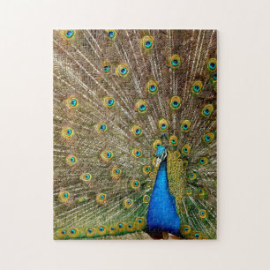 Puzzle Peacock Motif Peacock Artisanat Peacock Peinture A