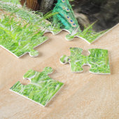 Puzzle - Peacock on the Hill (Côté)