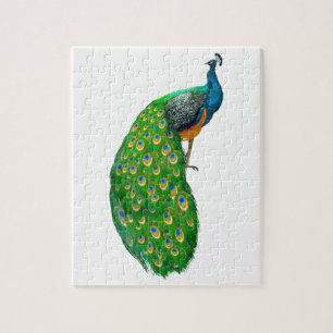 Puzzle Peacock Small