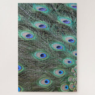 Puzzle Peacock tail feathers