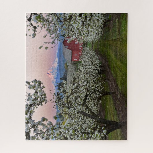 Puzzle Pear Orchard in Bloom with Barn near Mount Hood (Vertical)