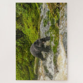 Puzzle Pêche à l'ours noir | Qua Creek Colombie-Britanniq (Vertical)