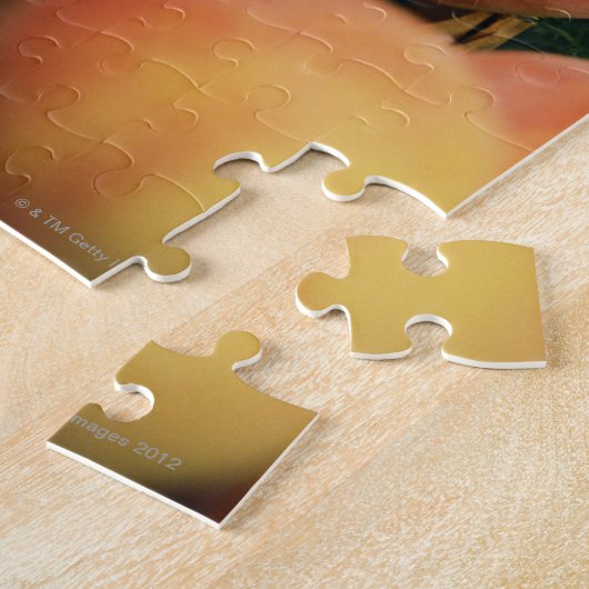 Puzzle Pêche fraîche (Côté)