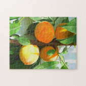 PUZZLE PÊCHES (Horizontal)