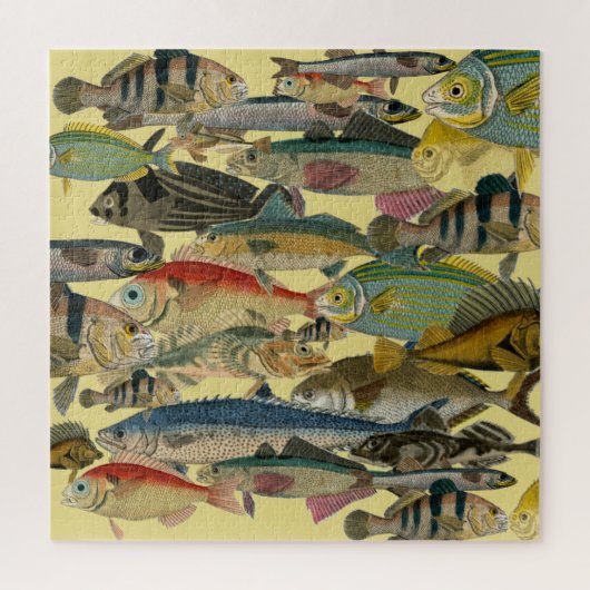 Puzzle Pêcheur Pêcheur En Mer Profonde Pêche Exotique Tro (Vertical)