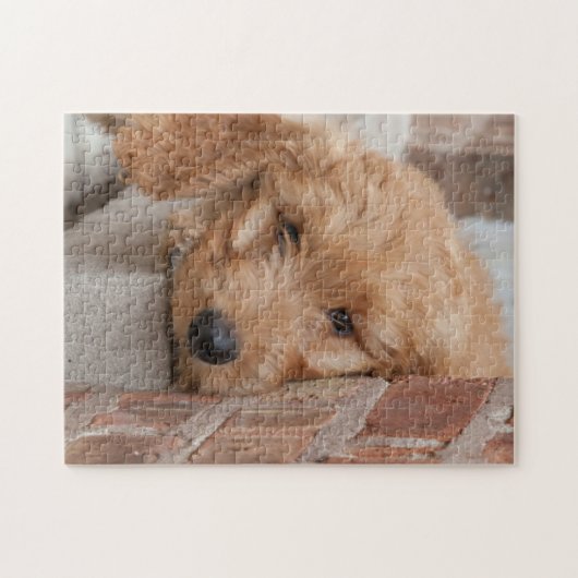Puzzle Peecing de Goldendoodle (Horizontal)