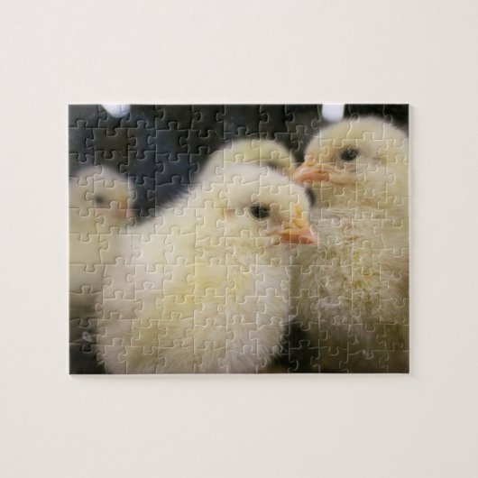 Puzzle Peeps (Horizontal)