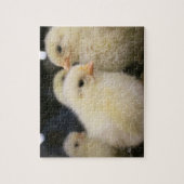 Puzzle Peeps (Vertical)