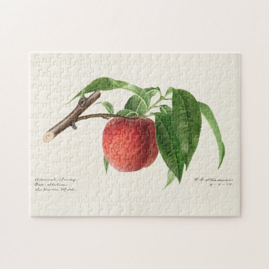 Puzzle Peinture à base de fruits à la broche (Prunus Pers (Horizontal)