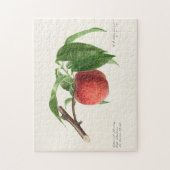 Puzzle Peinture à base de fruits à la broche (Prunus Pers (Vertical)