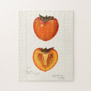 Puzzle Peinture à l'aquarelle de fruits Persimmons