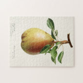 Puzzle Peinture à l'aquarelle de fruits (Pyrus Communis) (Horizontal)