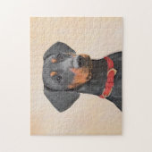 Puzzle Peinture allemande Pinscher peinture art animal or (Vertical)