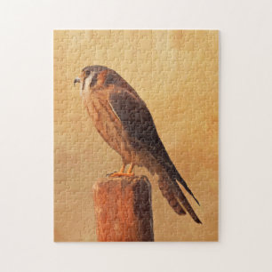 Puzzle Peinture américaine Kestrel - Art original pour oi