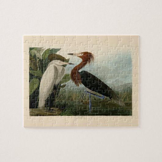 Puzzle Peinture de la faune d'Audubon Heron violet (Horizontal)