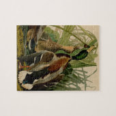 Puzzle Peinture d'oiseaux de Mallard Duck Audubon (Horizontal)