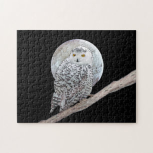 Puzzle Peinture sur la Chouette neigeuse et la Lune - Art
