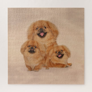 Puzzle Pekingese poursuit le collage