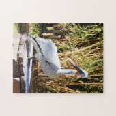 Puzzle Pélican (Horizontal)