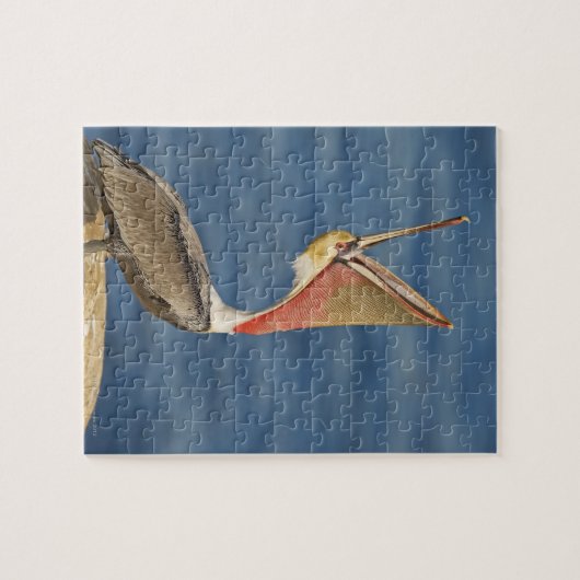 Puzzle Pélican Brown avec bouche ouverte (Horizontal)