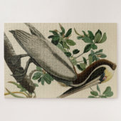 Puzzle Pélican Brown d'Audubon's Birds of America (Horizontal)