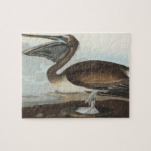 Puzzle Pélican brun de Birds of America