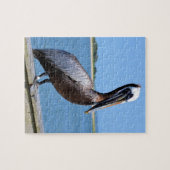 Puzzle Pélican chez Southport (Horizontal)