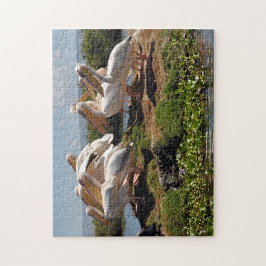 Puzzle Pélican d'Afrique (Vertical)