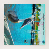 Puzzle Pélican Floride  (Horizontal)