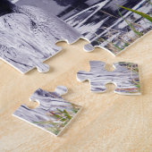 Puzzle Pélican par l'eau (Côté)