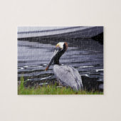 Puzzle Pelican Poser (Horizontal)