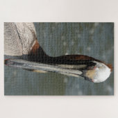 Puzzle Pélican regarde ma carte (Horizontal)